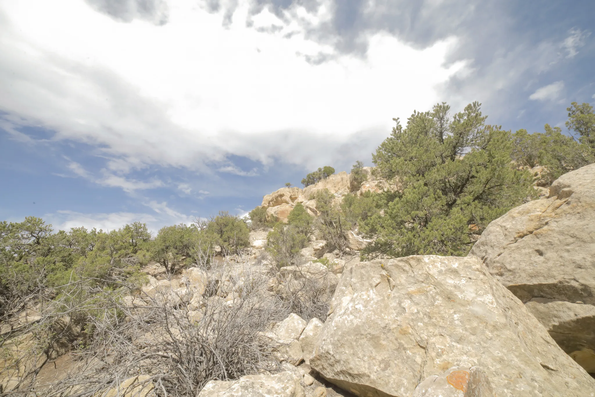 View of undeveloped land