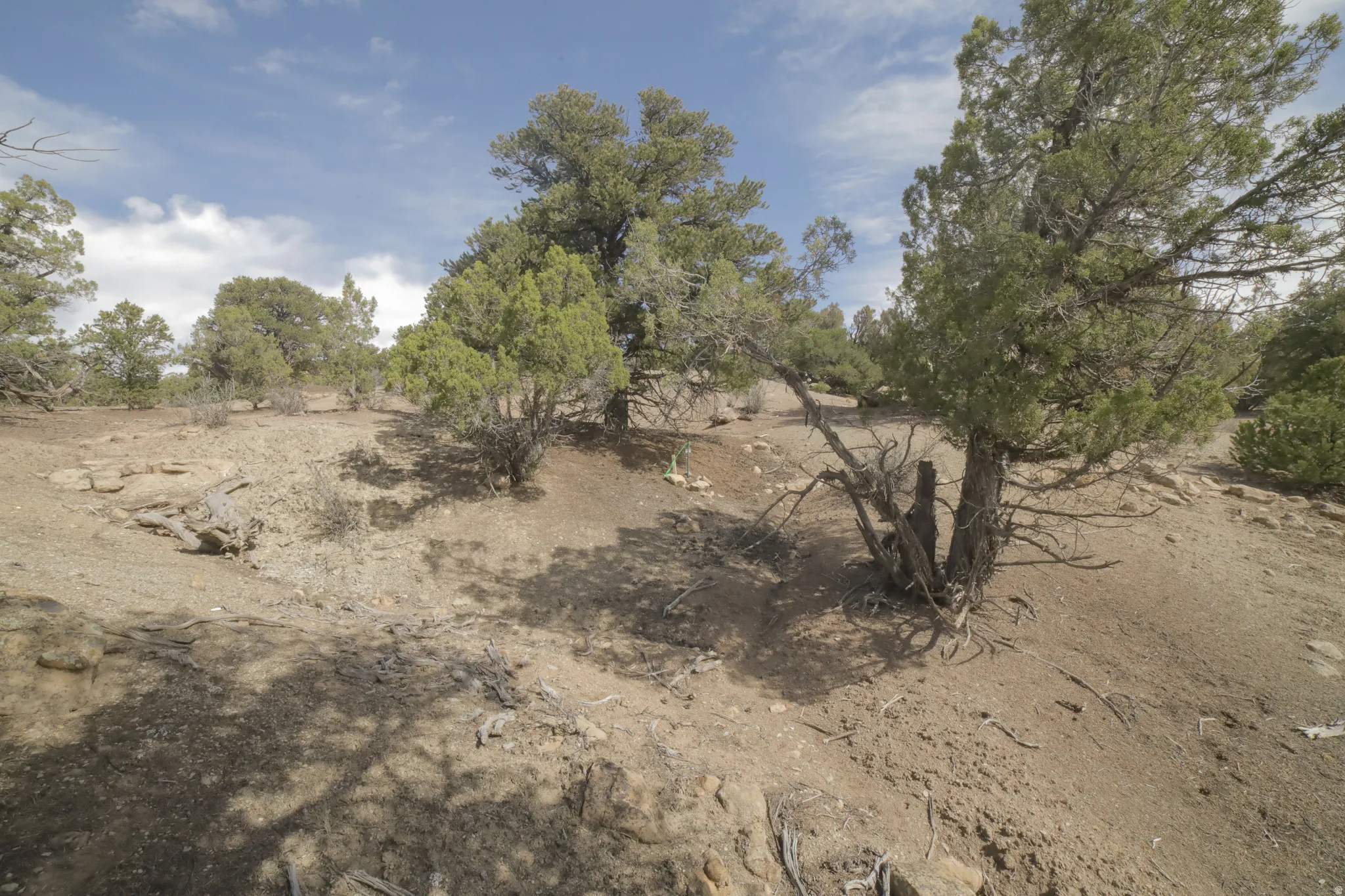 View of undeveloped land