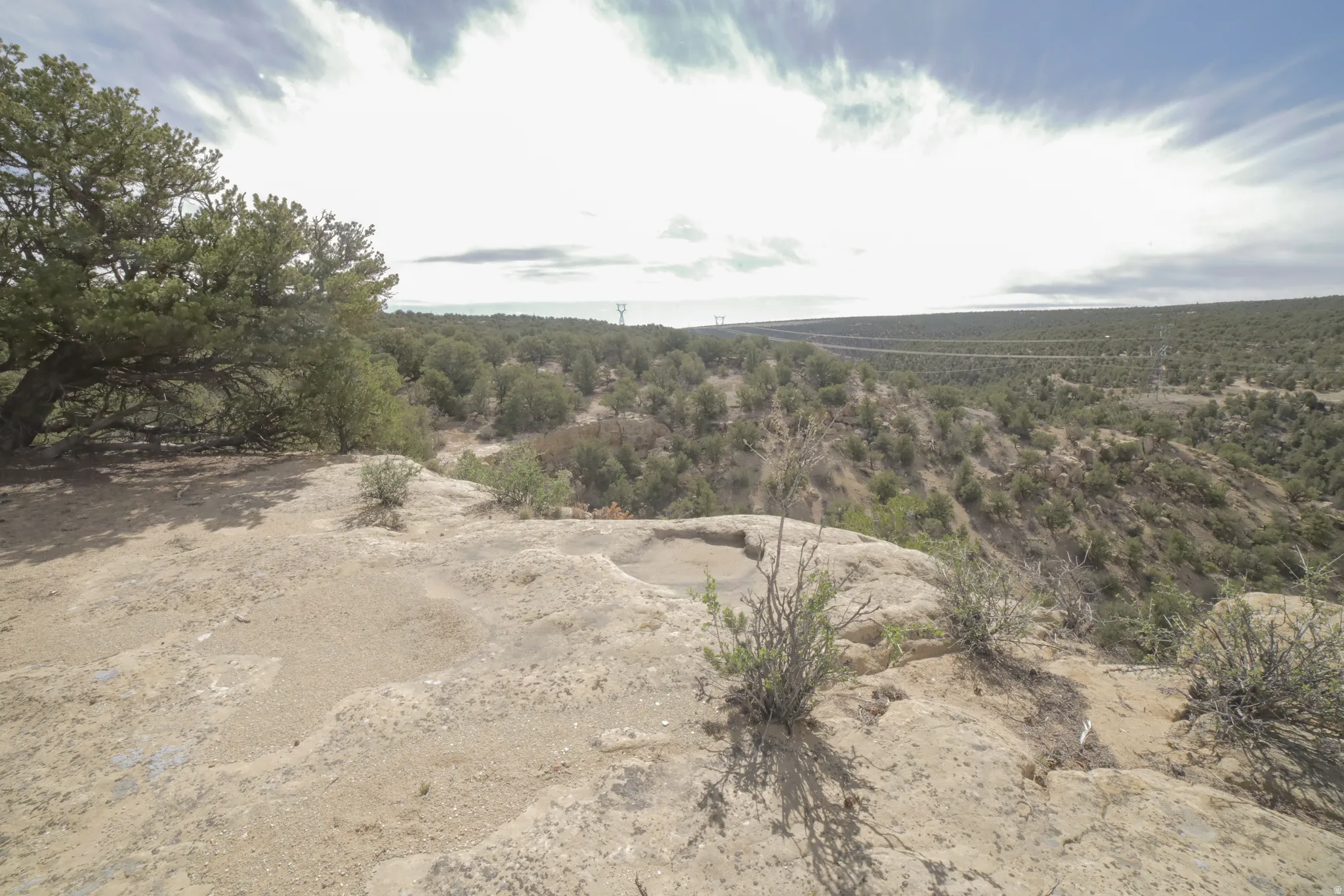 View of undeveloped land