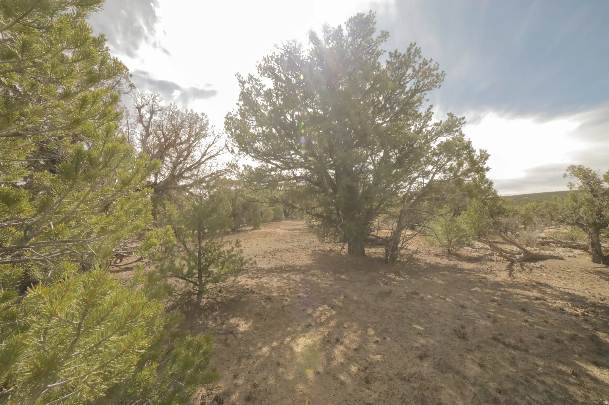 View of nature