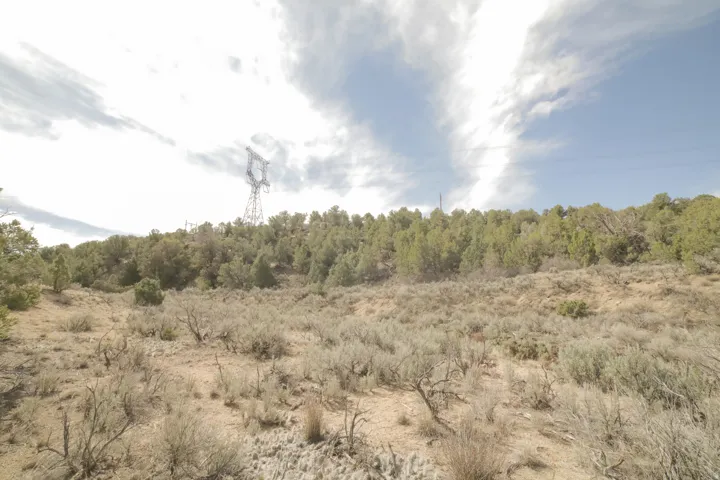 View of nature