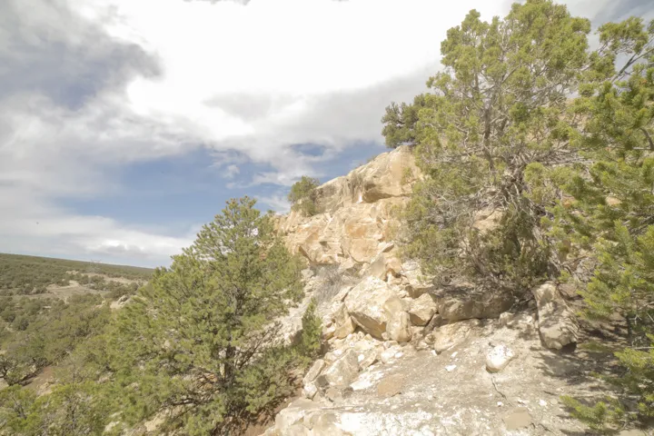 View of local wilderness