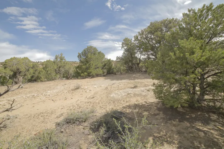 View of nature with rural landscape