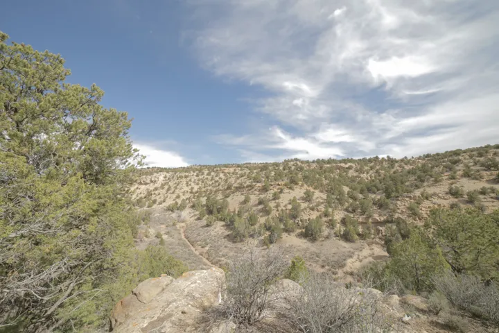View of nature with a mountain backdrop