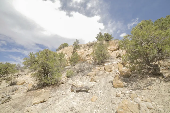 View of undeveloped land
