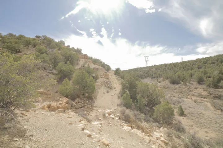 View of nature