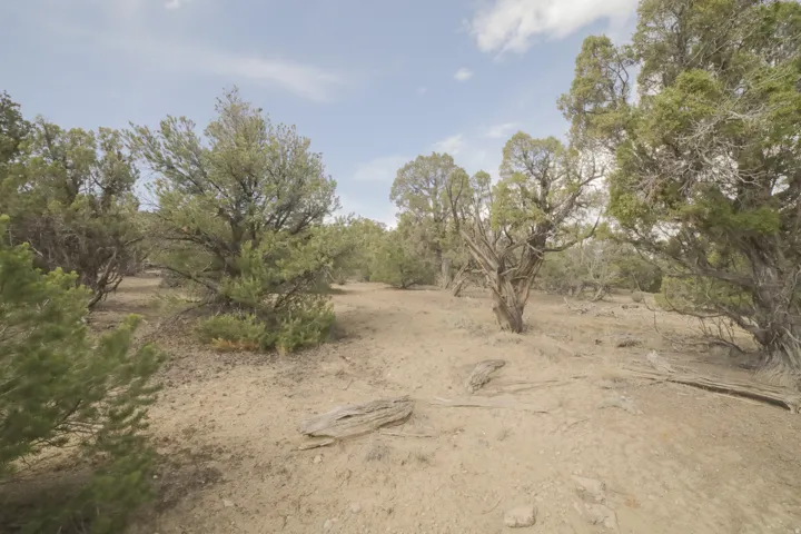 View of undeveloped land