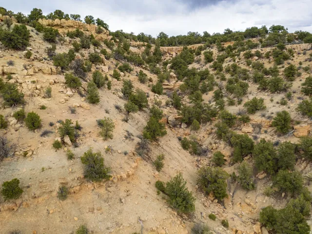View of local wilderness with a desert landscape and rural landscape