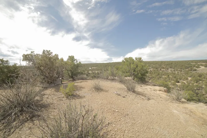 View of undeveloped land featuring rural landscape
