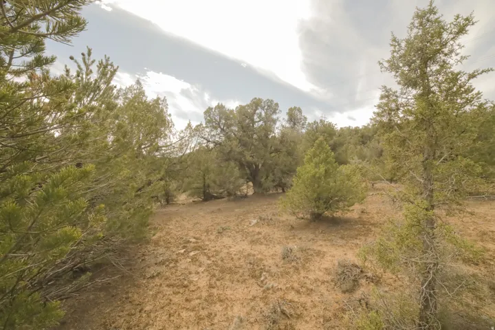 View of undeveloped land
