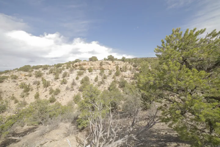 View of nature featuring a mountainous background