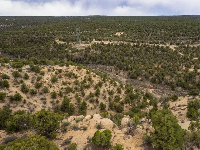 Aerial view of sparsely populated area featuring a heavily wooded area