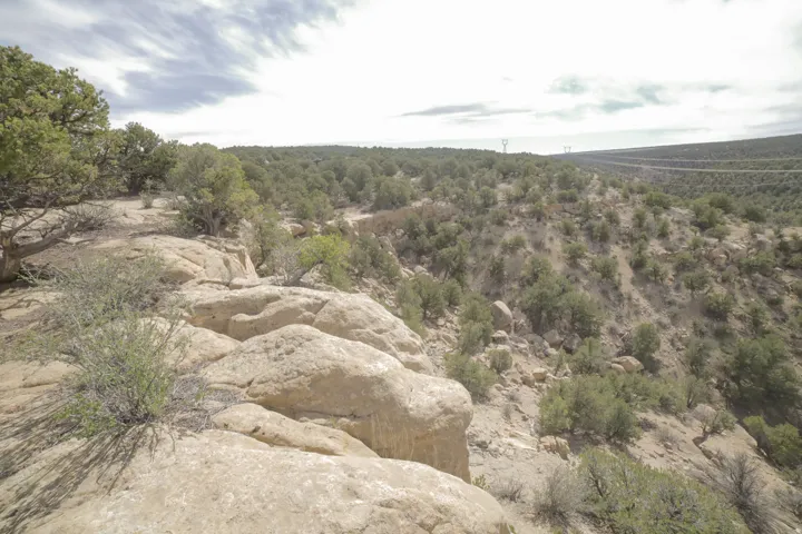 View of local wilderness