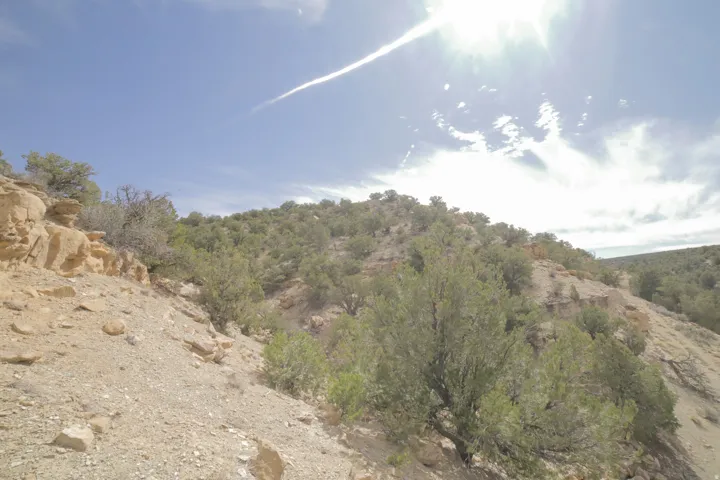 View of undeveloped land