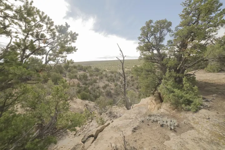 View of local wilderness featuring rural landscape