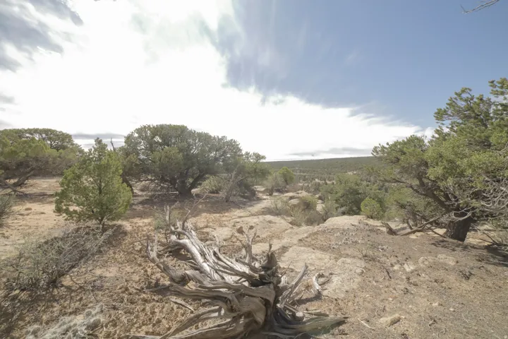 View of local wilderness with rural landscape