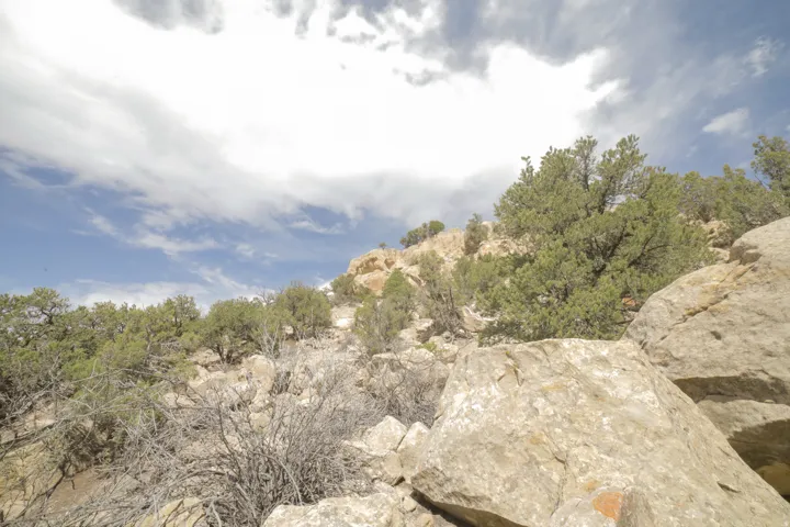 View of undeveloped land