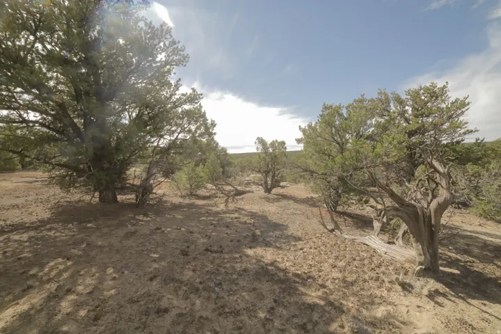 View of local wilderness featuring rural landscape