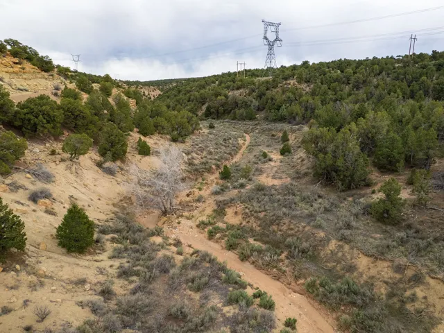 View of nature