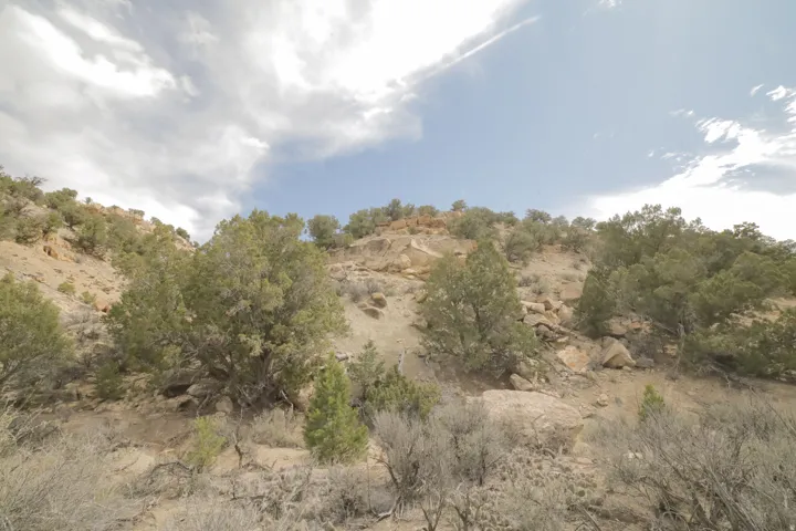 View of local wilderness