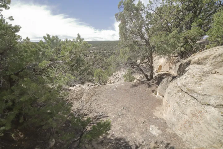 View of nature