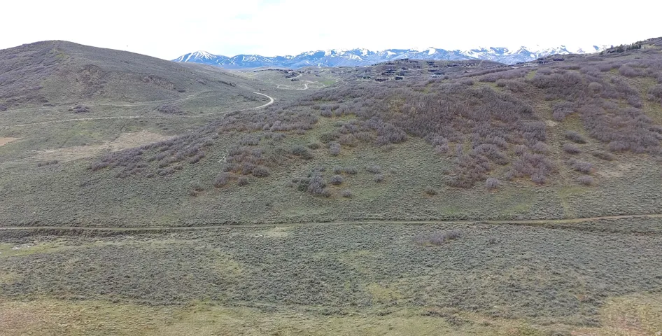 View from the lot