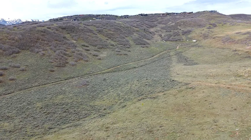 View from the lot
