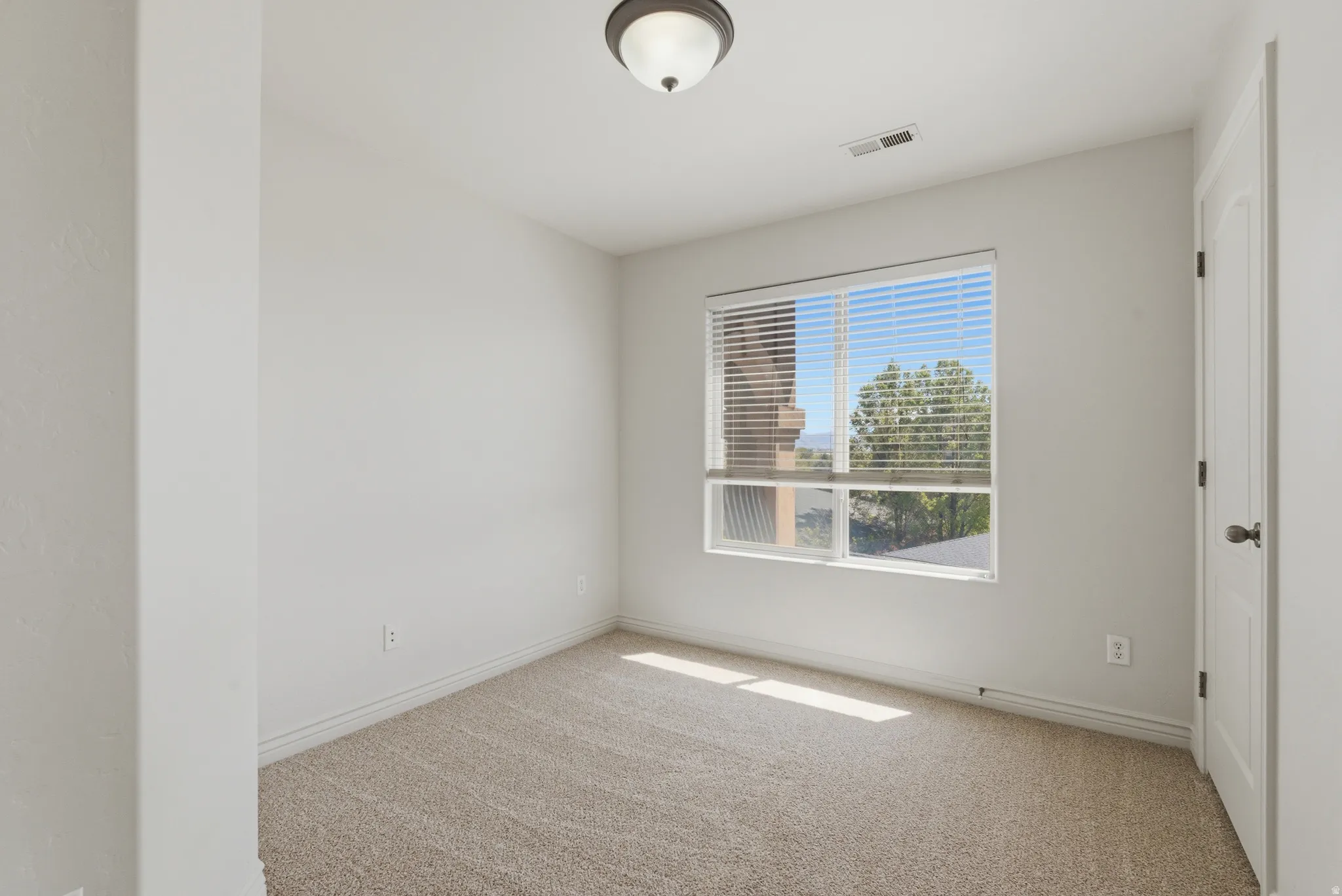 Unfurnished room with light carpet and baseboards