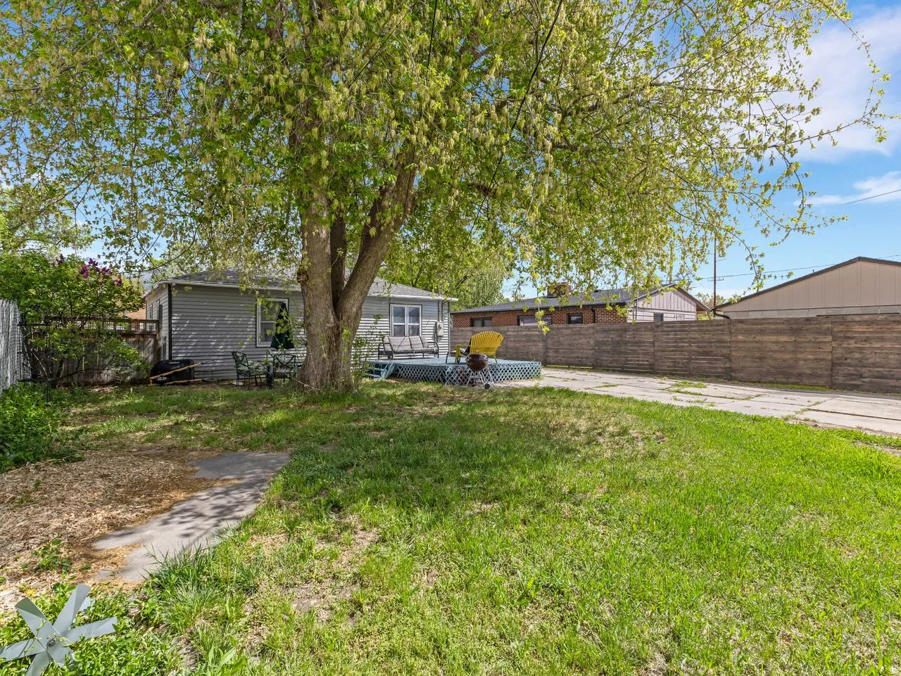 View of backyard