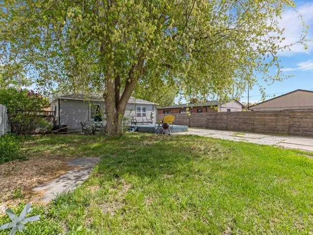 View of backyard