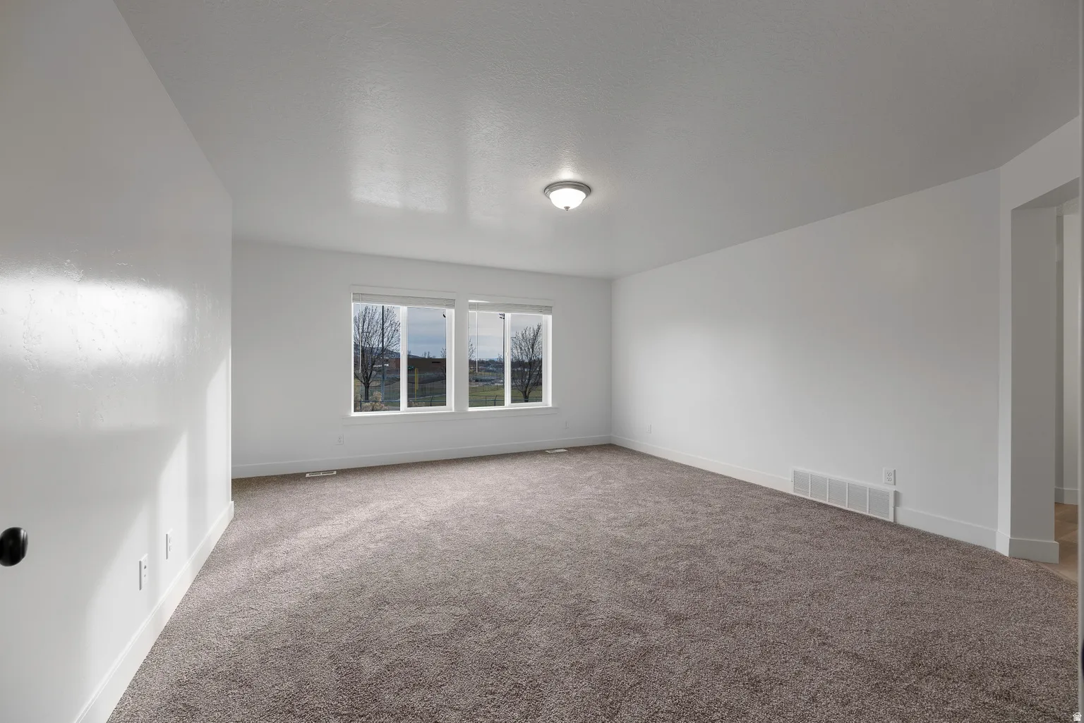 Unfurnished room with light carpet and baseboards