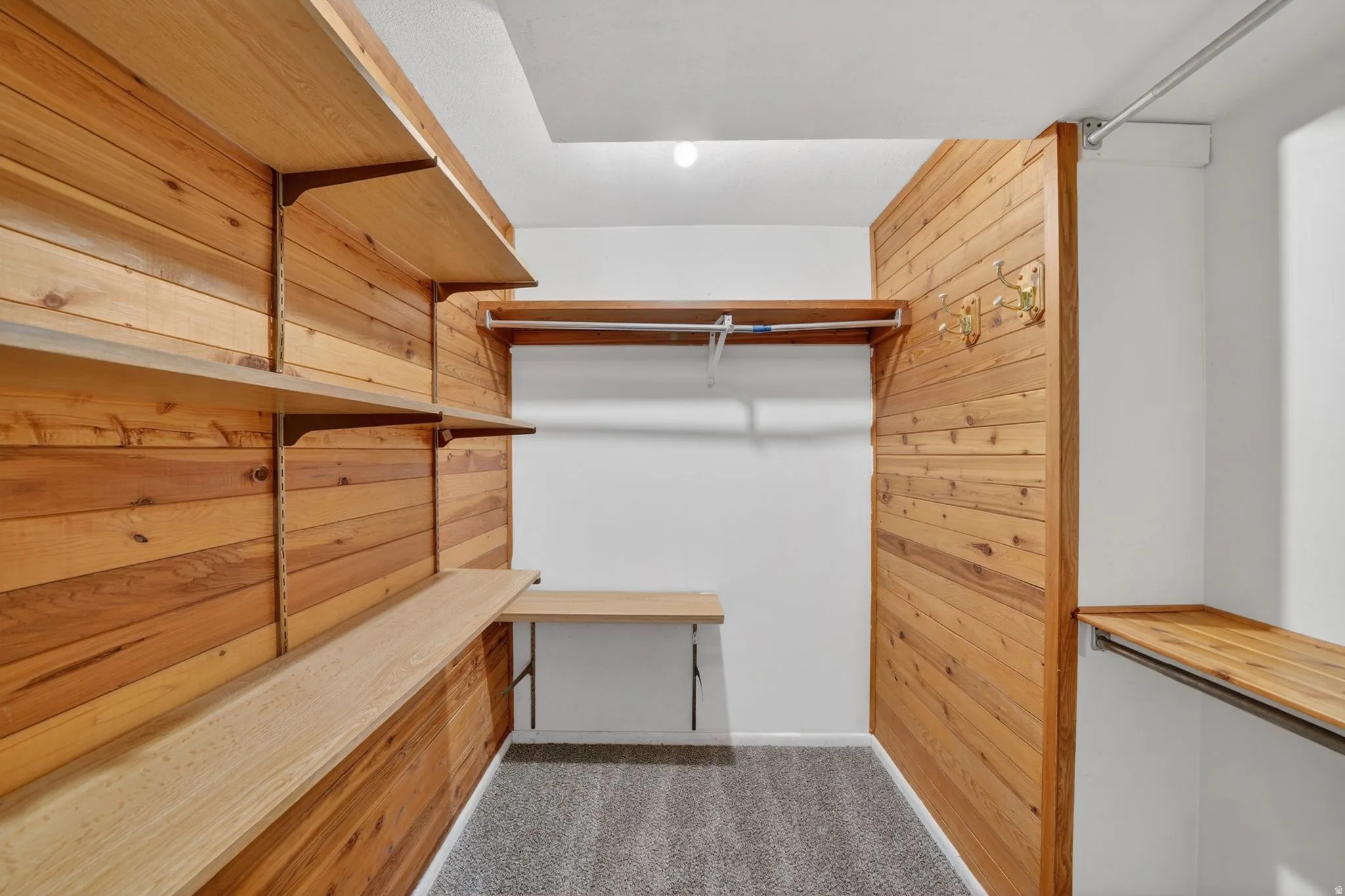 Walk in closet with dark carpet