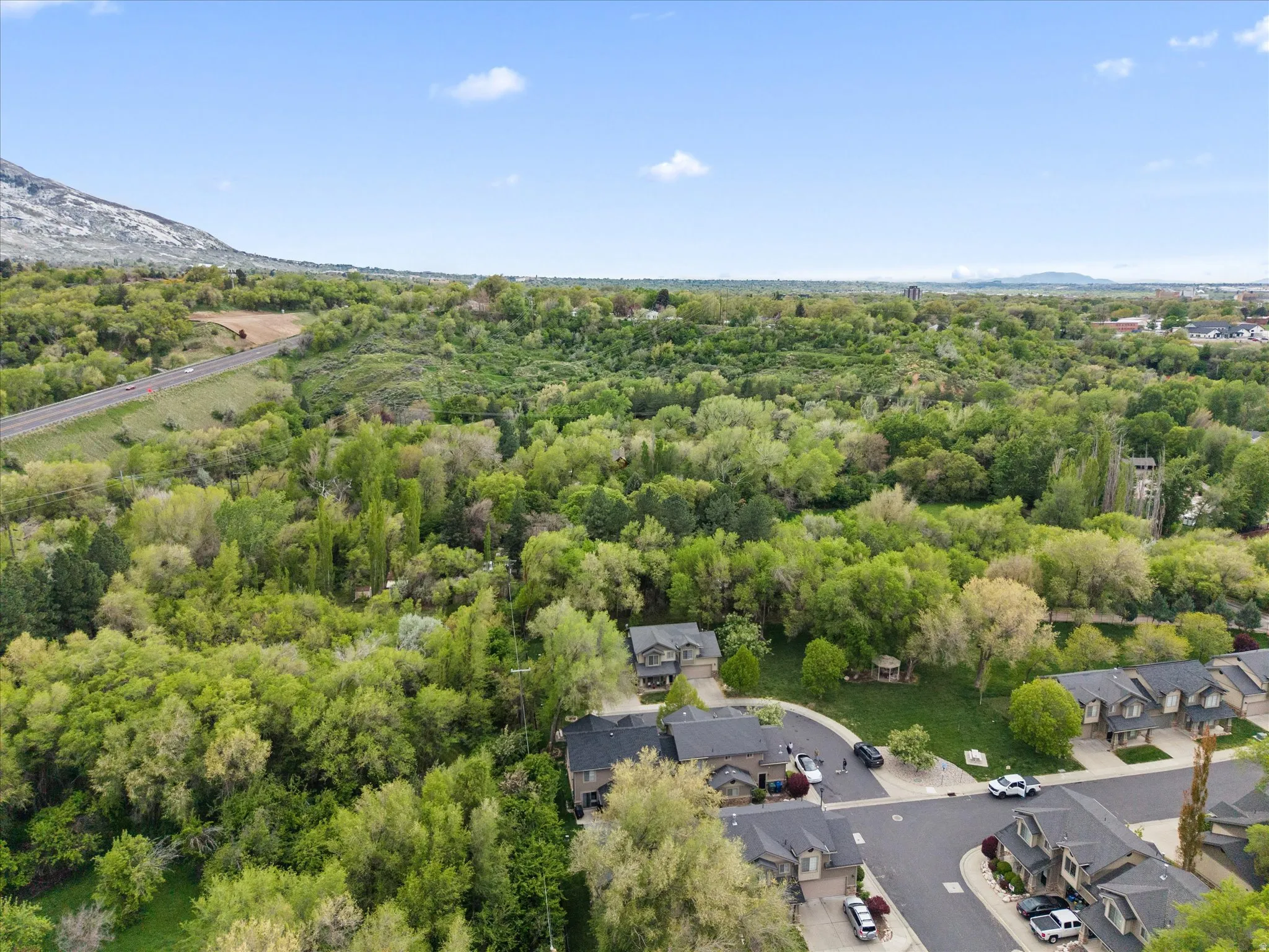 Aerial view of a forest around home and mountains