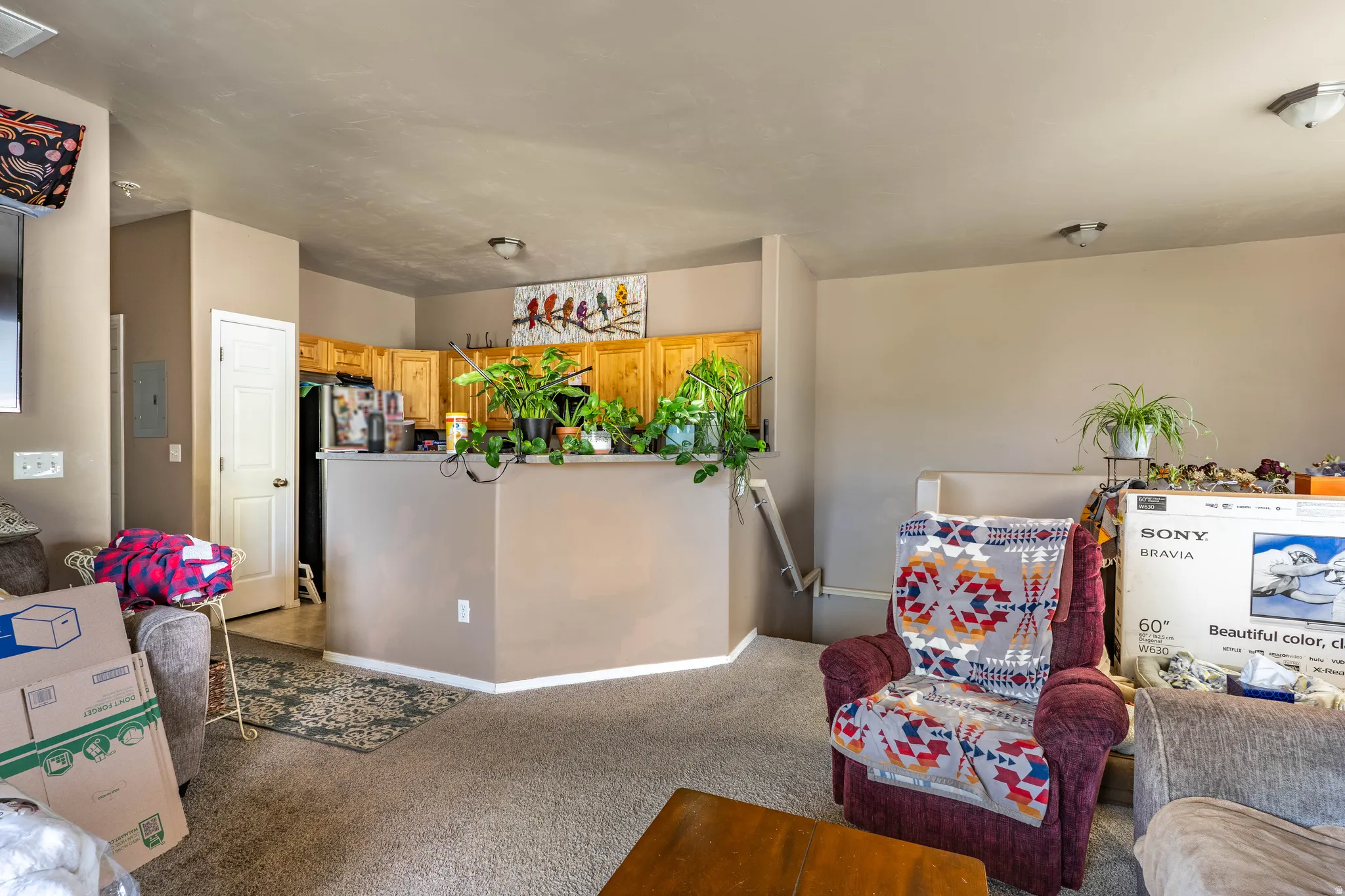 Living room with dark colored carpet and baseboards