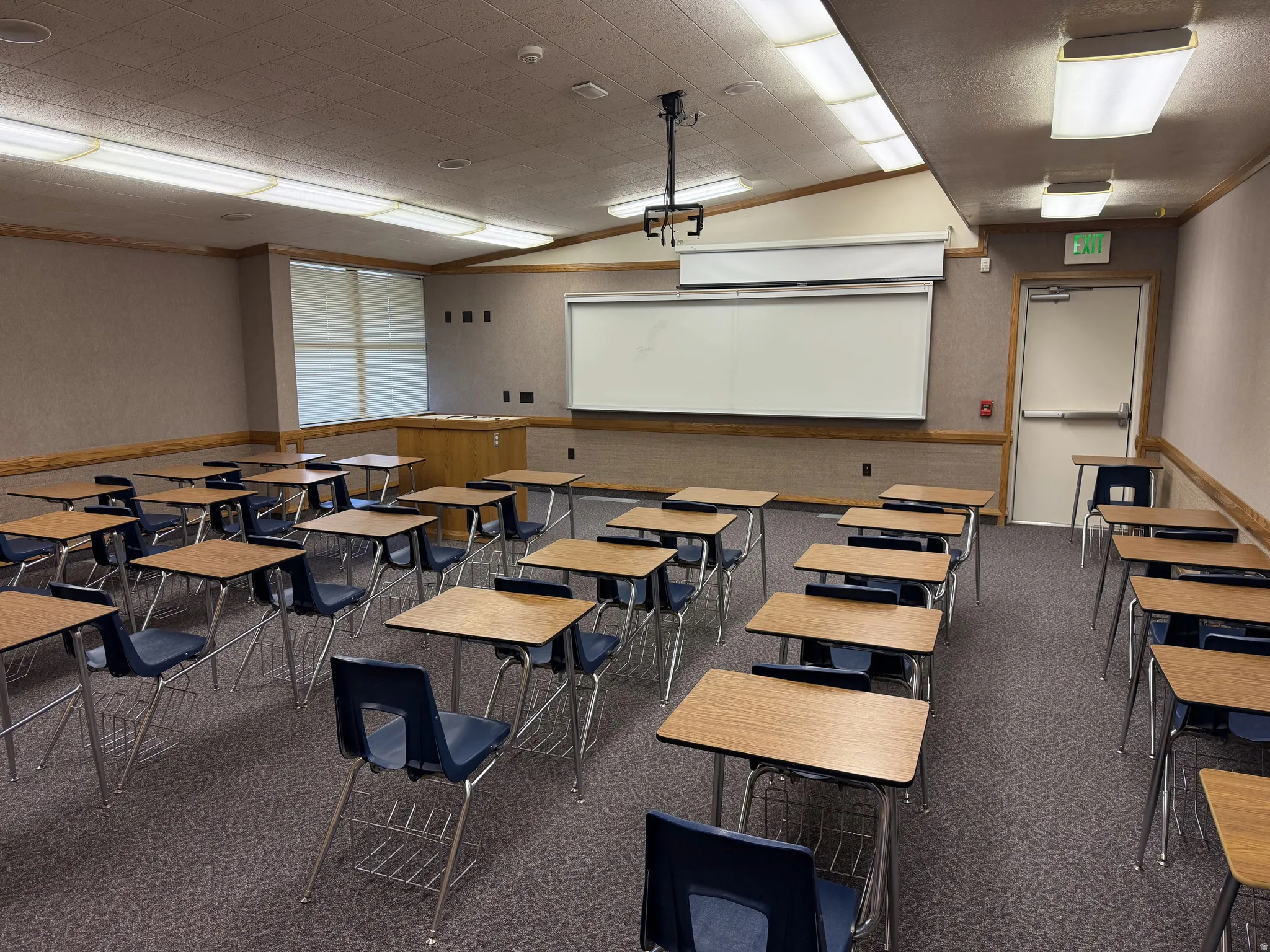 Classroom with carpet, overhead lights, exterior access, and windows
