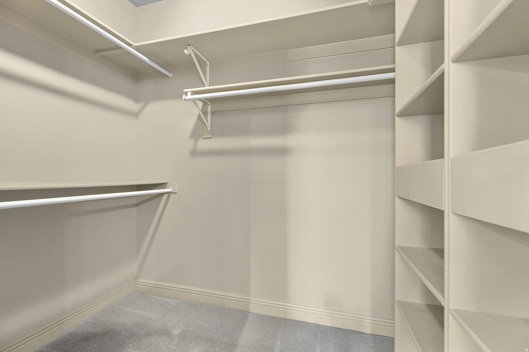 Walk in closet with light colored carpet
