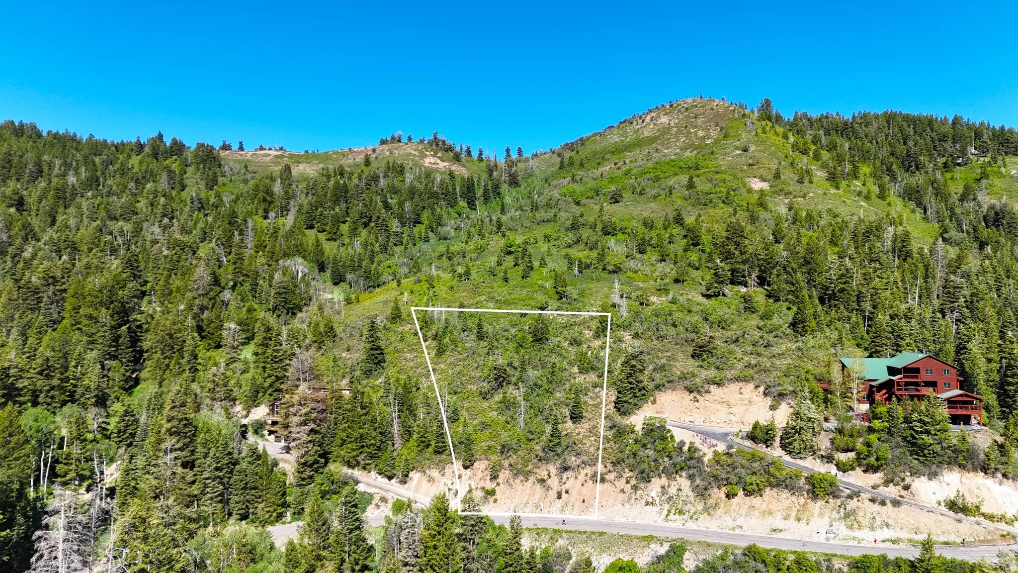 Wooded mountain lot featuring natural foliage, a sloped topography, and a paved road frontage
