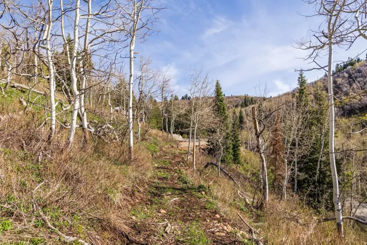 10135 N Kimball Canyon Rd, Park City, Utah 84098