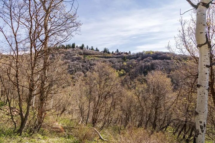 10135 N Kimball Canyon Rd, Park City, Utah 84098