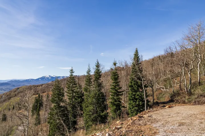 10135 N Kimball Canyon Rd, Park City, Utah 84098