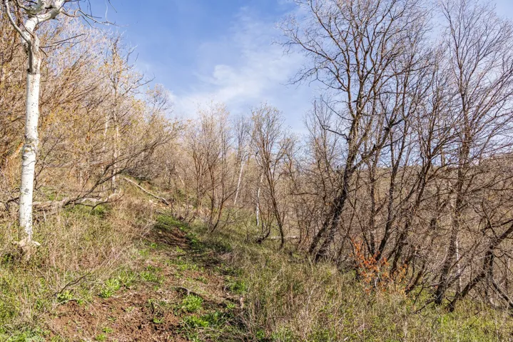 10135 N Kimball Canyon Rd, Park City, Utah 84098