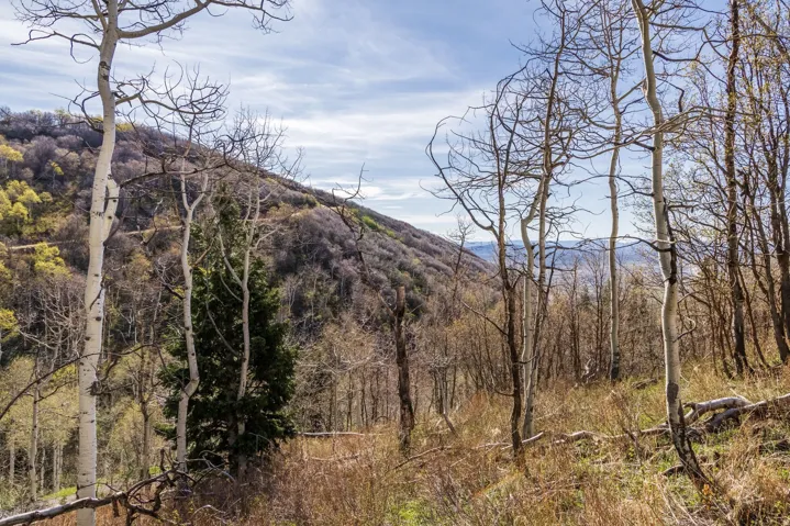 10135 N Kimball Canyon Rd, Park City, Utah 84098