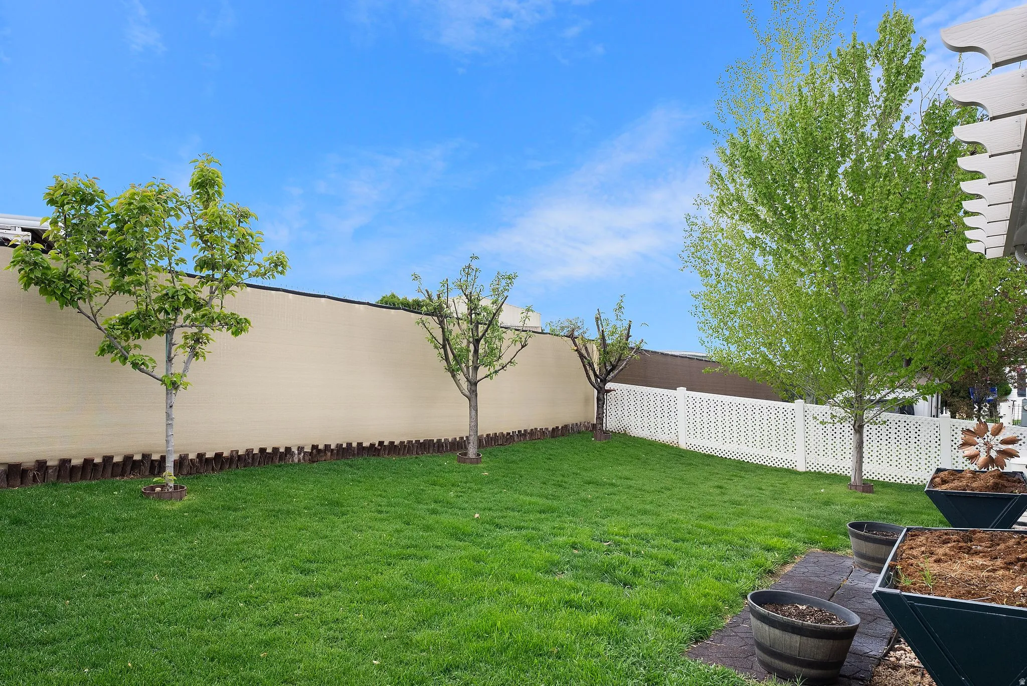 View of fenced backyard