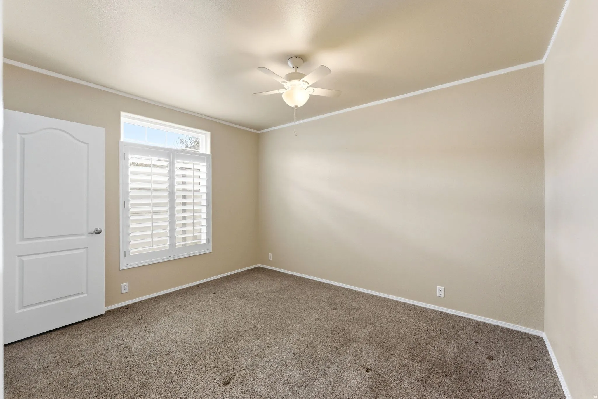 Spare room with crown molding, carpet, and a ceiling fan