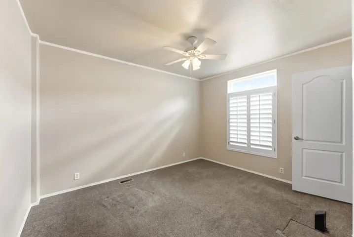 Spare room with dark colored carpet, ornamental molding, and ceiling fan