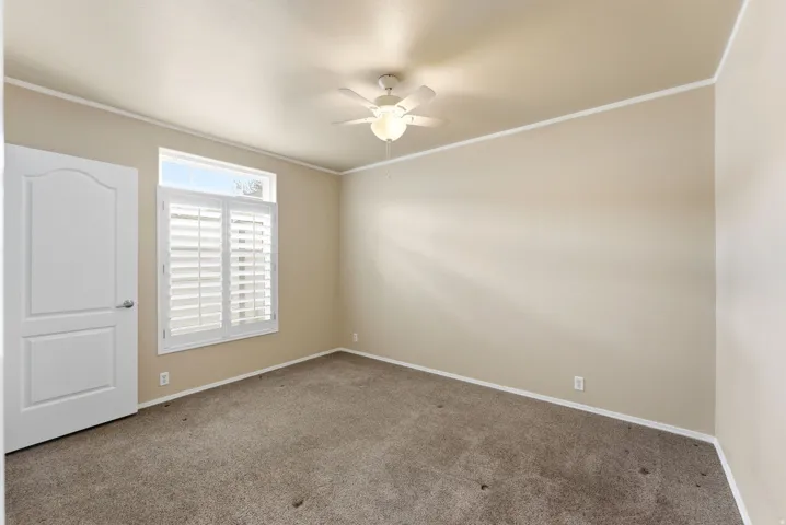 Spare room with crown molding, carpet, and a ceiling fan