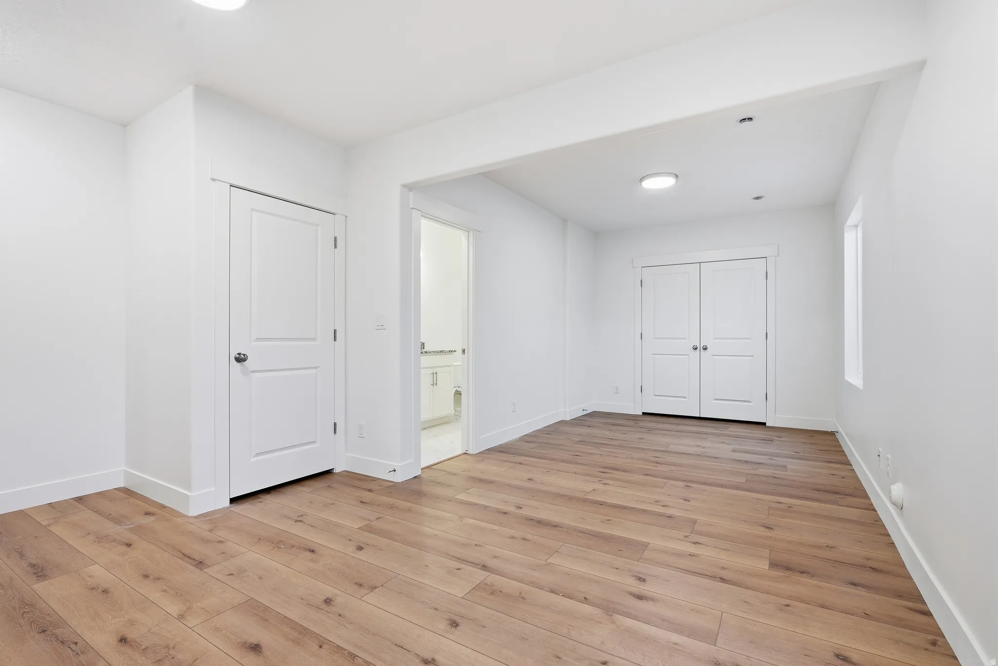 Possible Suite in the basement