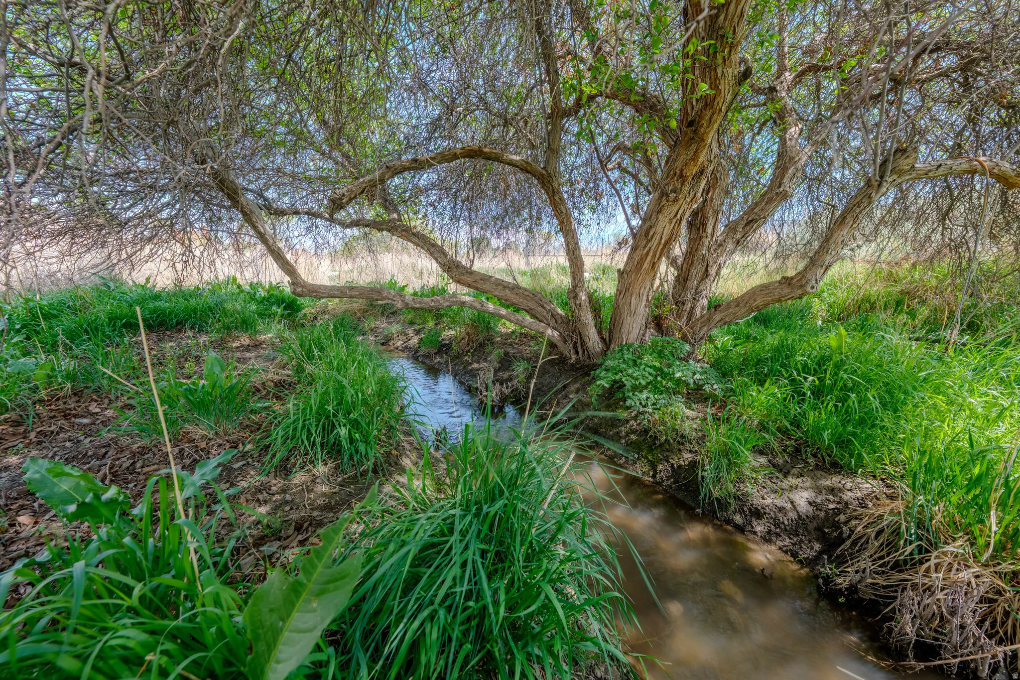 View of local wilderness featuring a large body of water