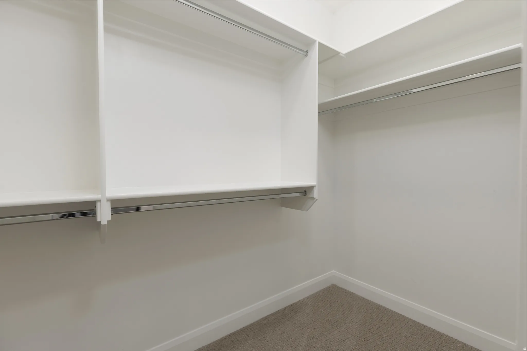 Walk in closet featuring carpet