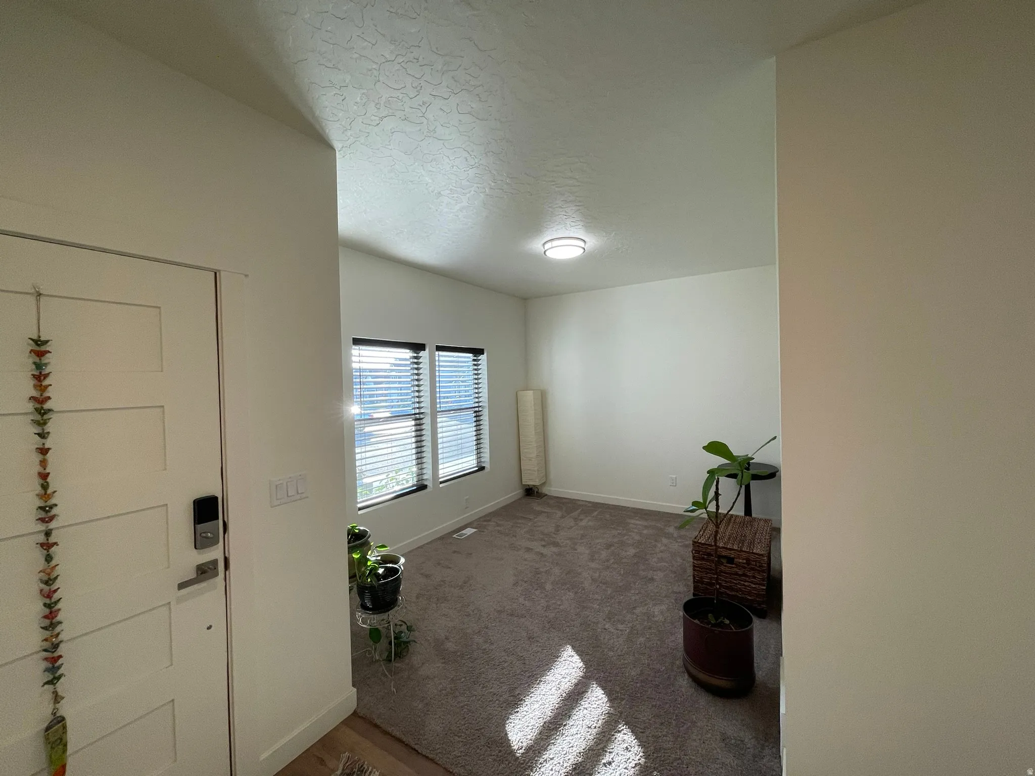 Carpeted foyer with baseboards and a textured ceiling